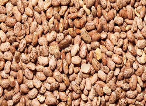 تصویر 4 از خرید و فروش لوبیا چیتی بسته بندی با شرایط فوق العاده