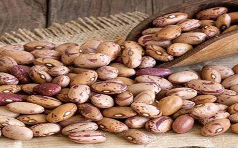 تصویر 4 از فروش لوبیا چیتی برای قرمه سبزی + قیمت خرید به صرفه