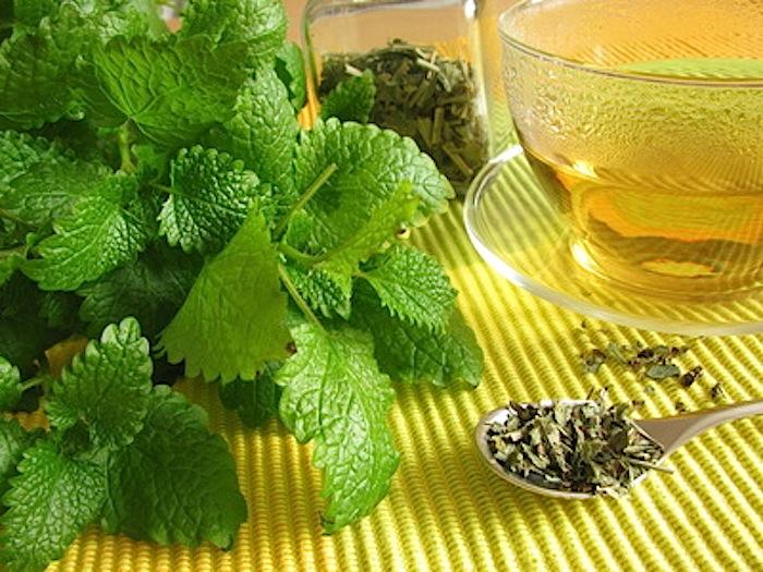 فروش عصاره گزنه مایع گرید A