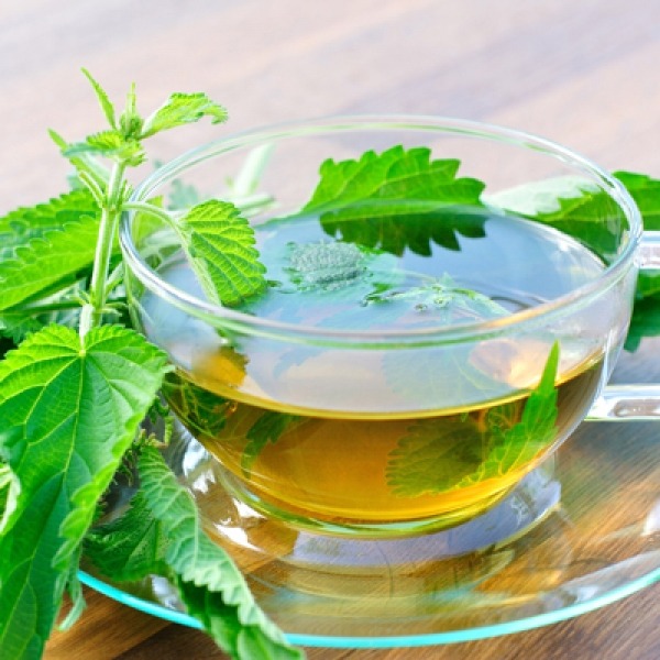 تصویر 1 از فروش عصاره گزنه مایع گرید A