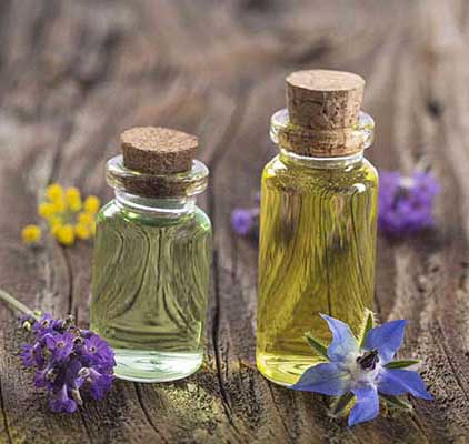 تصویر 1 از فروش عصاره خارخاسک مایع گرید A