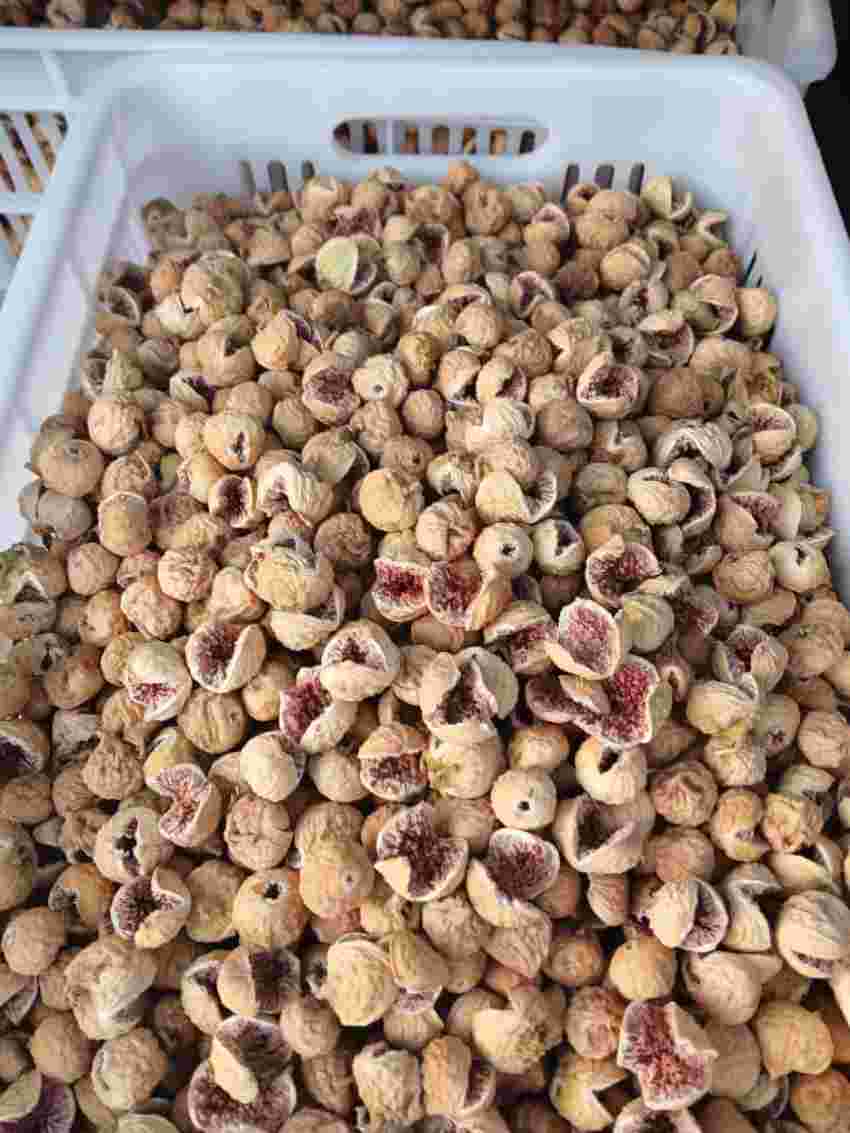تصویر 2 از مرکز فروش انجیر خشک آفتابی