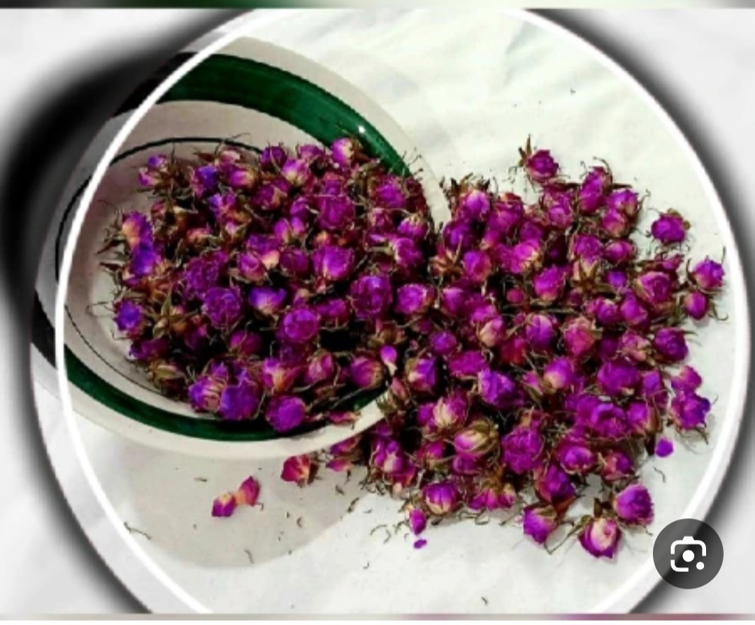 فروش غنچه گل محمدی خشک به روش سنتی + صادرات به اروپا و آسیای میانه