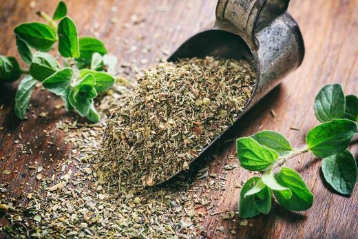 تصویر 1 از قیمت بسیار عالی آویشن صادراتی با حاشیه سود بالا
