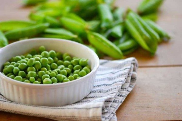 تصویر 1 از خرید و قیمت کنسرو نخود فرنگی + فروش صادراتی