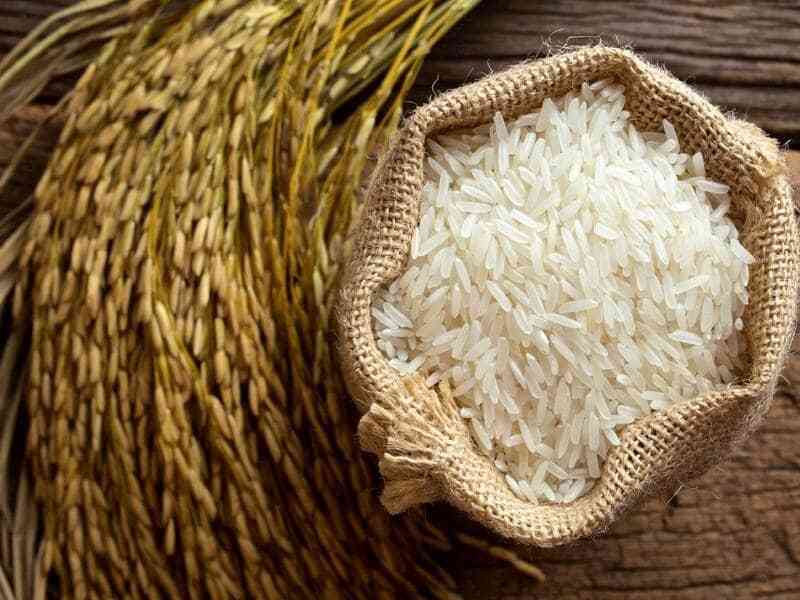 خرید اینترنتی برنج کامفیروز عمده تخفیف ویژه