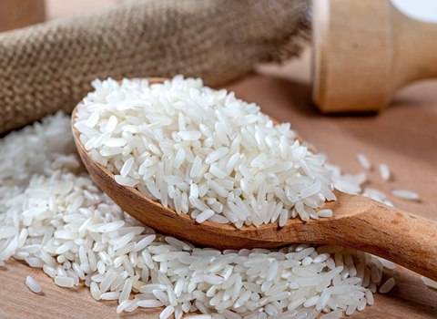 خرید برنج کامفیروز زرین فارس از مزرعه تا سفره شما