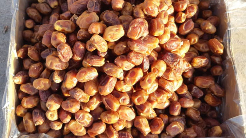 تصویر 1 از قیمت فروش خرما زاهدی درجه یک داخلی صادراتی بهترین کیفیت