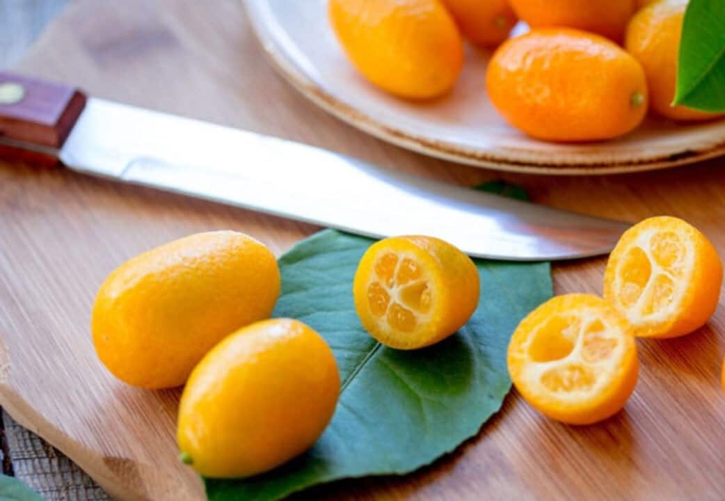 تصویر 2 از قیمت خرید پرتقال کوچک + فروش ویژه