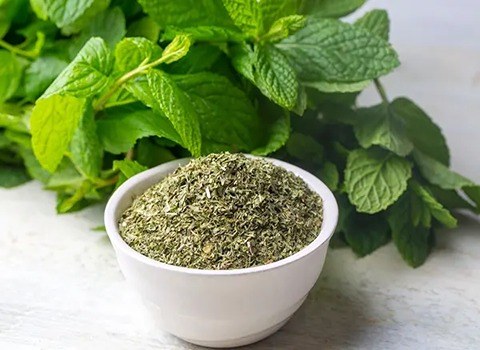 تصویر 2 از خرید برگ نعنا + قیمت فروش استثنایی