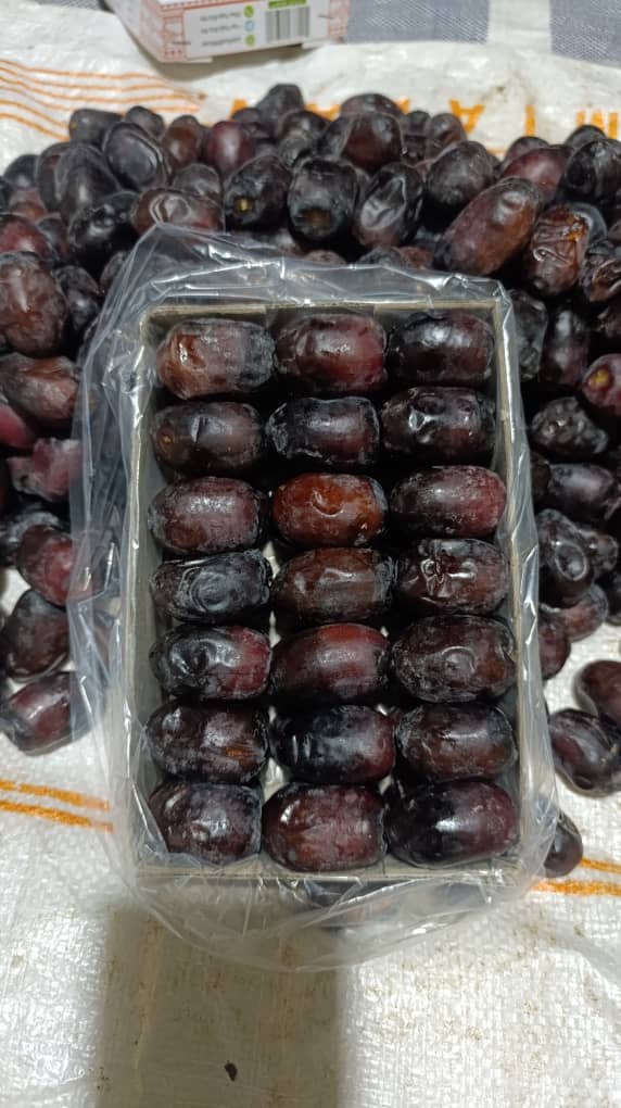 تصویر 1 از خرید عمده خرما مضافتی دو ردیفه لوکس + کیفیت تضمینی