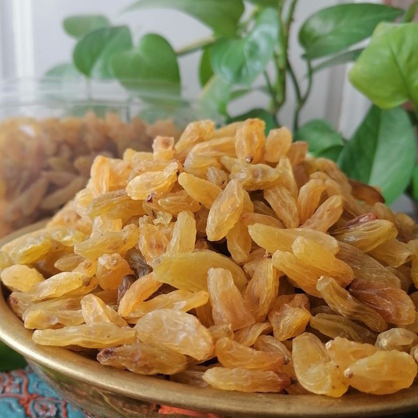 تصویر 5 از خرید و فروش کشمش طلایی