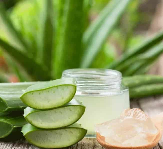 تصویر 4 از خرید و قیمت آلوئه‌ ورا + فروش صادراتی
