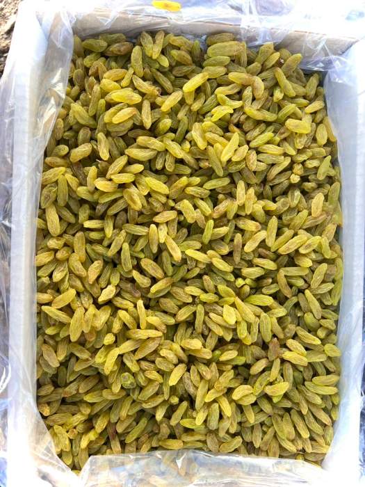 تصویر 2 از خرید و فروش کشمش سبز