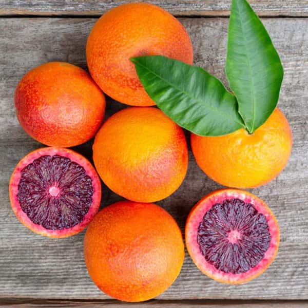 تصویر 1 از قیمت خرید پرتقال خونی + فروش ویژه