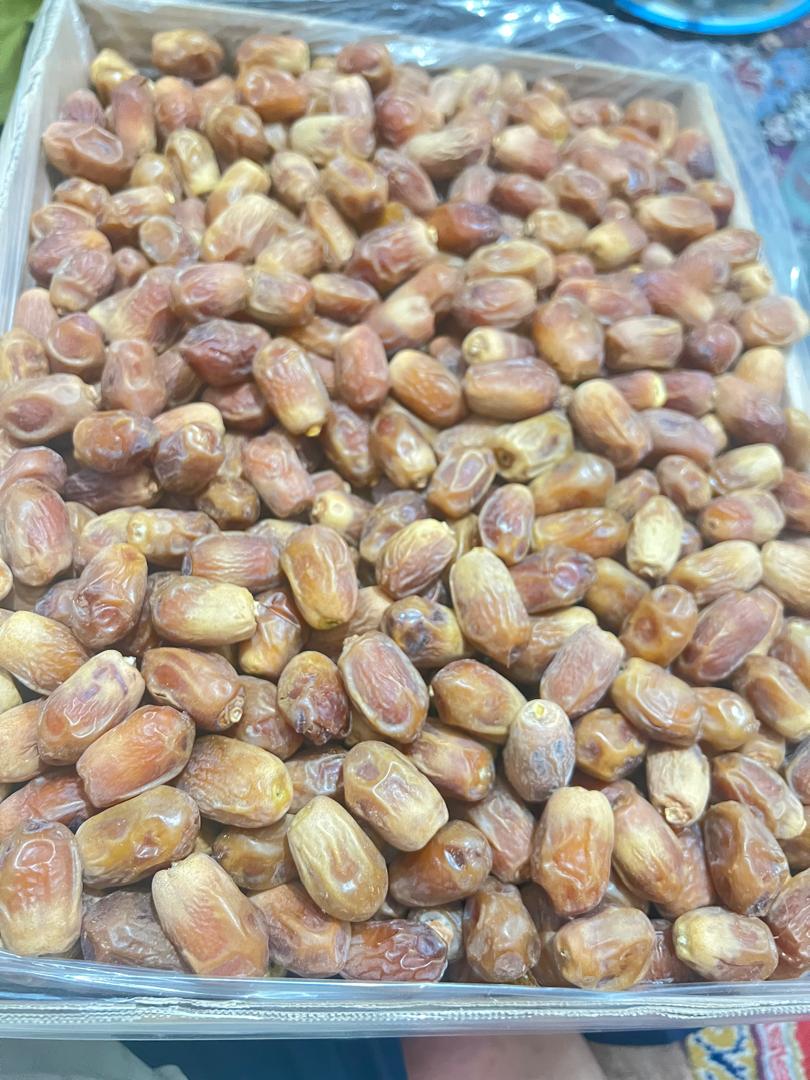 فروش خرما زاهدی صادراتی