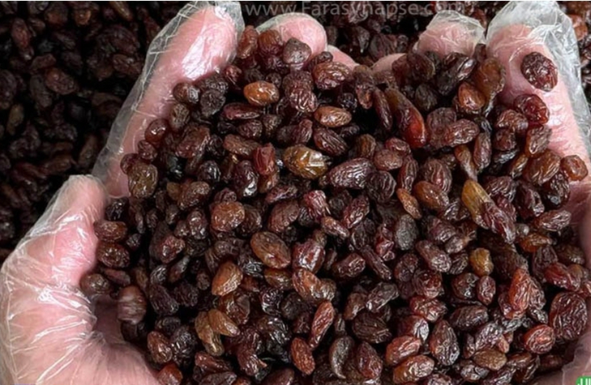 قیمت کشمش ضایعاتی پلویی بدون غوره و با غوره + خرید عمده و ارزان