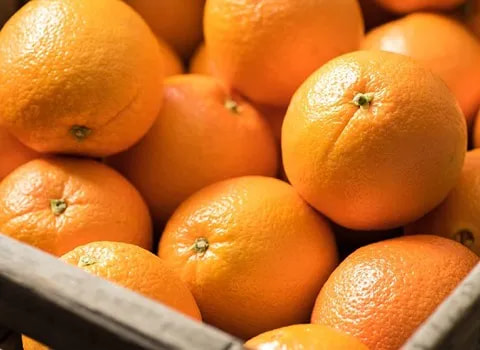 تصویر 1 از قیمت خرید پرتقال جیرفت + فروش ویژه