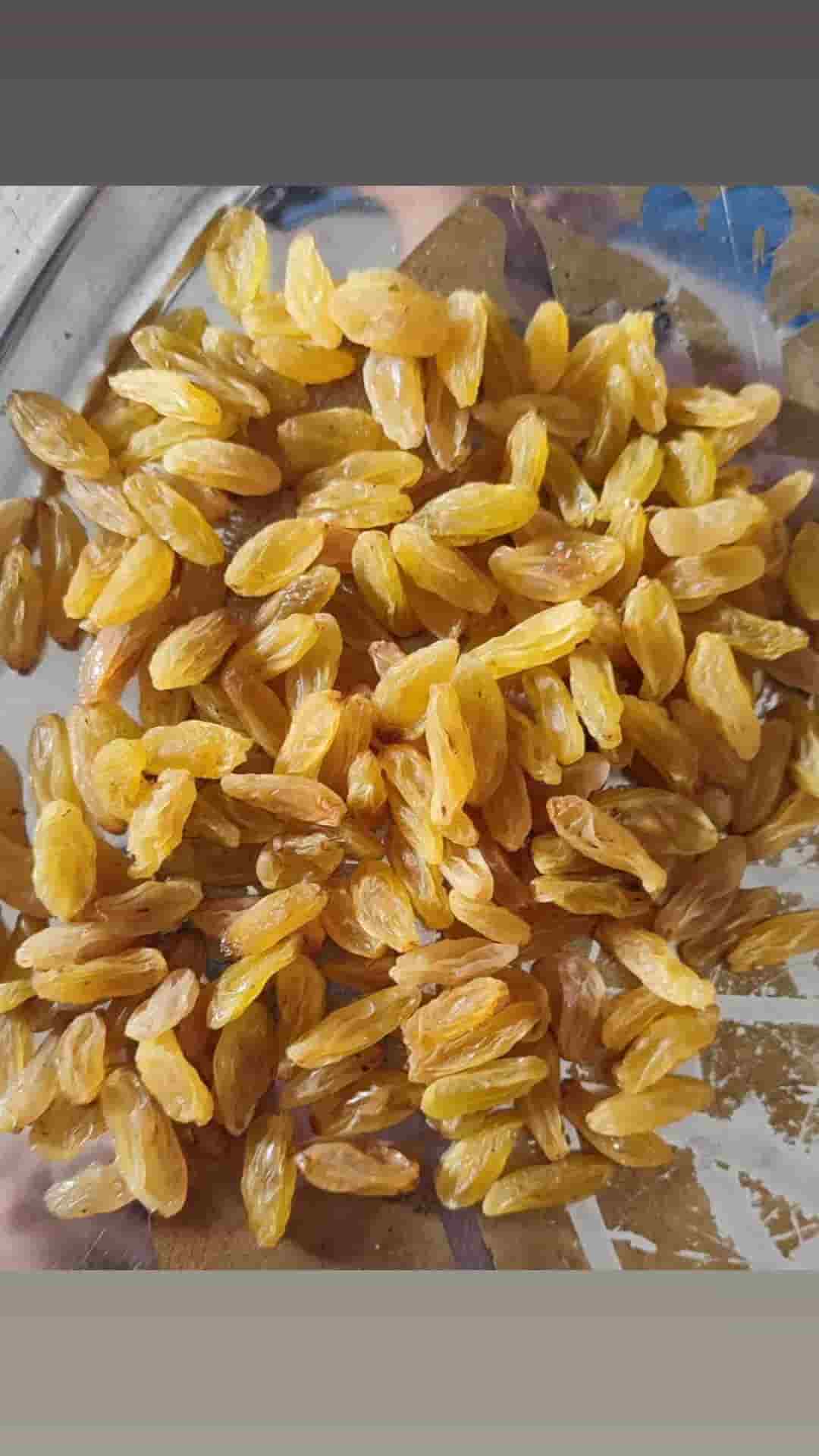 تصویر 1 از قیمت کشمش زرد قلمی با کیفیت ارزان + خرید عمده