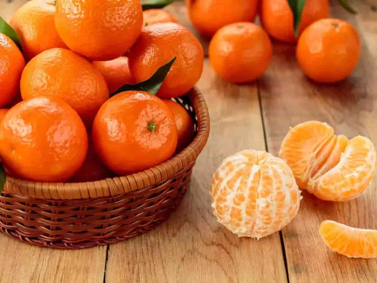 تصویر 2 از قیمت خرید نارنگی یافا + فروش ویژه