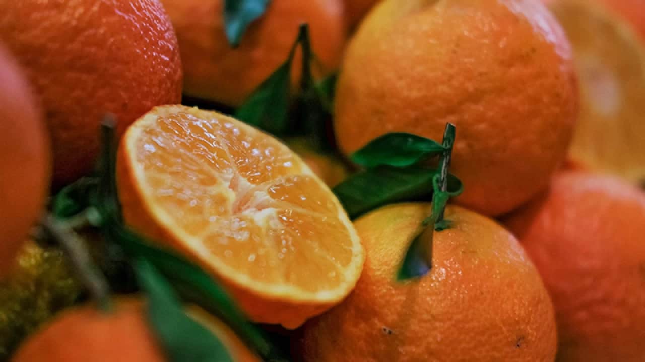 قیمت میوه نارنجی