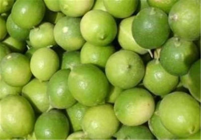 تصویر 2 از قیمت خرید لیمو عمانی + فروش ویژه