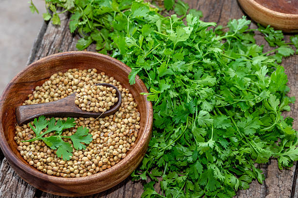 تصویر 2 از خرید و فروش تخم گشنیز تازه با شرایط فوق العاده