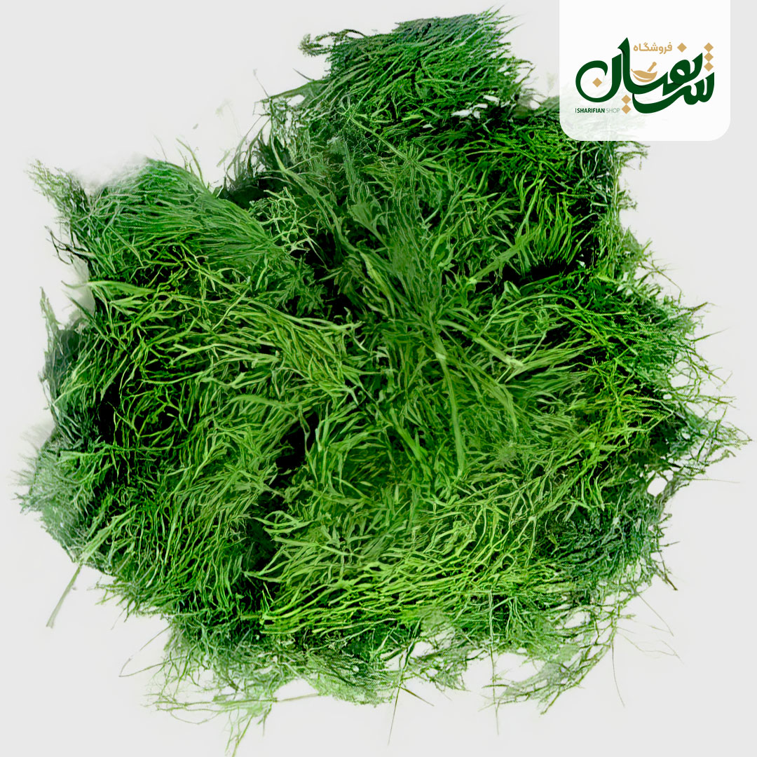 تصویر 1 از تامین شوید خشک صادراتی با استاندارد رطوبت جهانی