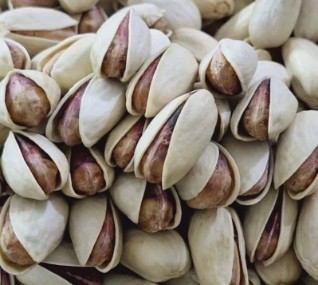 تصویر 1 از قیمت مناسب پسته اکبری + فروش عمده