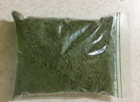 تصویر 4 از خرید نعنا خشک کوهی + فروش عمده