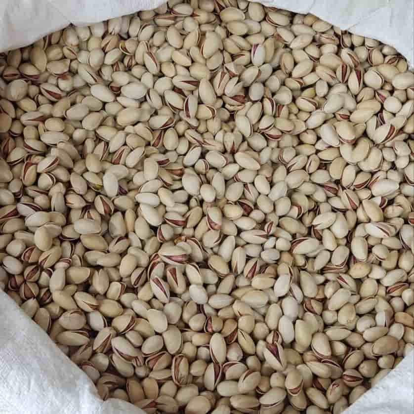 تصویر 5 از خرید پسته پیوندی احمد آقایی + قیمت فروش استثنایی