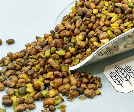 تصویر 3 از قیمت خرید مغز پسته درجه یک + فروش ویژه