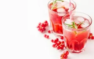 تصویر 2 از بهترین اب زرشک تازه بیرجند + قیمت خرید عالی