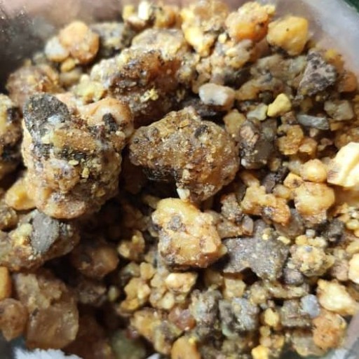 خرید آنغوزه تلخ