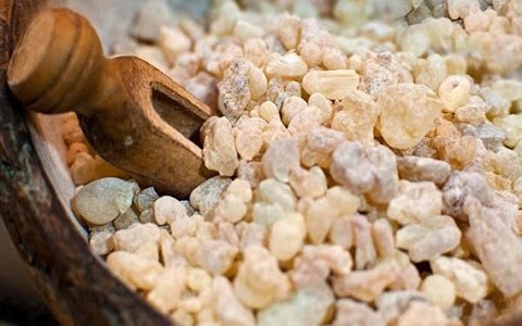 خرید صمغ آنغوزه با غلظت رزین بالا و بدون ناخالصی‌ های جانبی برای تولیدات دارویی