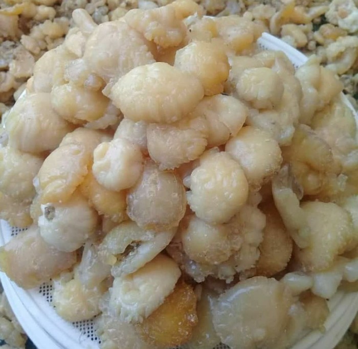 تصویر 2 از خرید صمغ آنغوزه با غلظت رزین بالا و بدون ناخالصی‌ های جانبی برای تولیدات دارویی