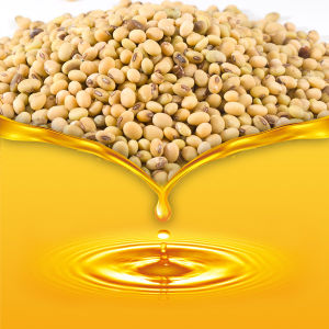 تصویر 1 از قیمت خرید روغن خام سویا فله + فروش ویژه