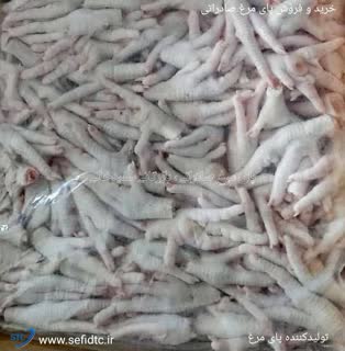 تصویر 3 از فروش و خرید پای مرغ زرد