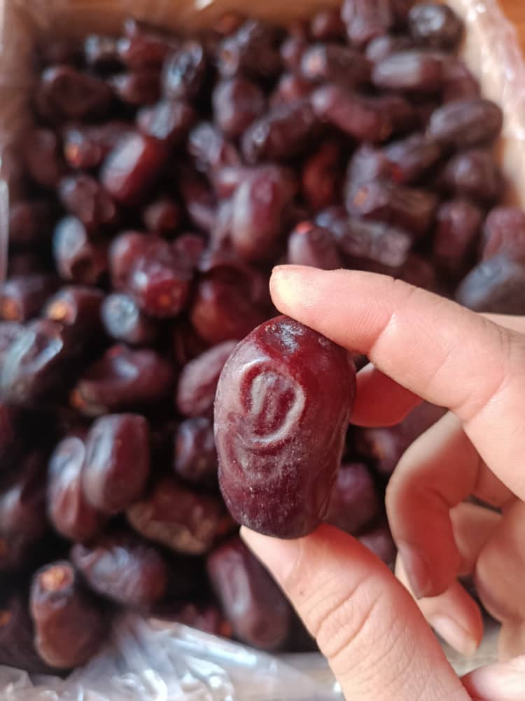 تصویر 1 از فروش عمده خرمای کلوته عنبرآباد + قیمت رقابتی