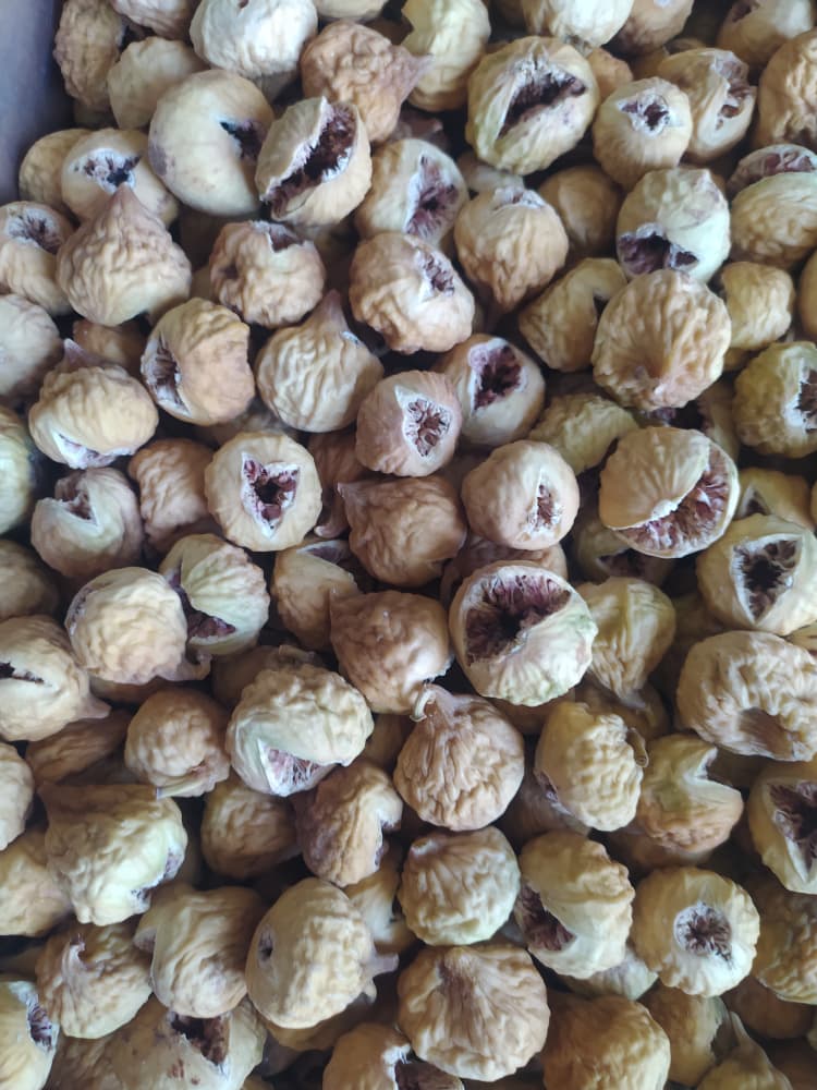 تصویر 1 از فروش آنلاین انجیر مخلوط صد یک کلیدی پرک و غنچه با بالا ترین کیفیت
