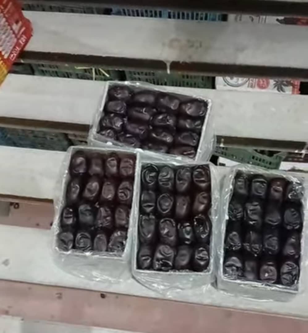 تصویر 2 از خرید بی واسطه خرما مضافتی بلوچستان + کیفیت تضمینی