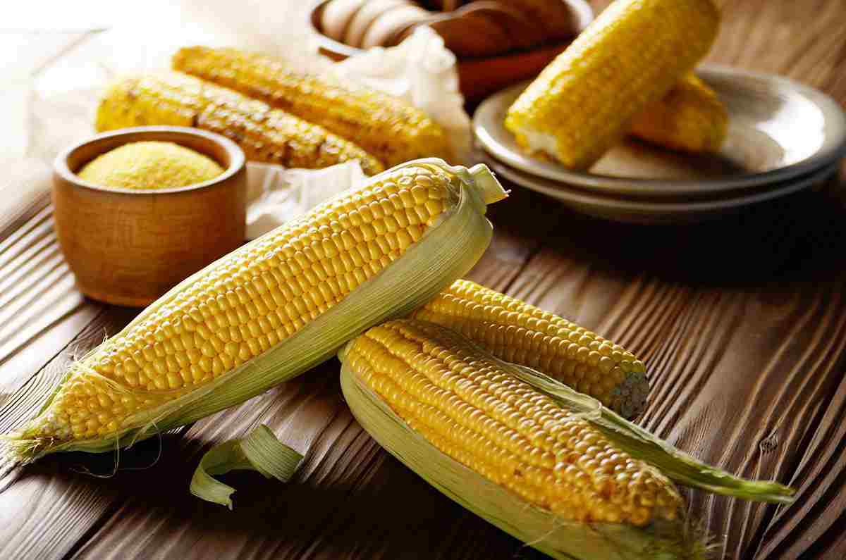 تصویر 2 از تأمین گلوتن گندم برای مصارف صنعتی و غذایی + خرید مستقیم از کارخانه