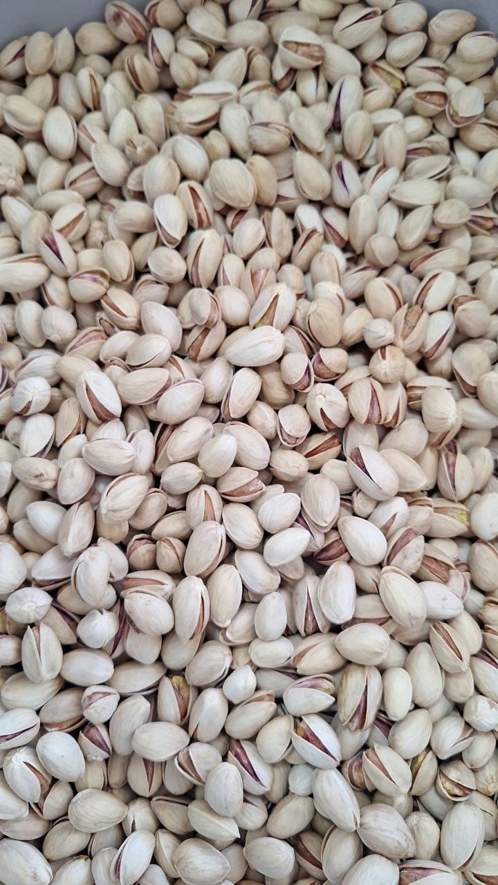تصویر 1 از فروش عمده انواع پسته تازه (اکبری، احمد آقایی،کله قوچی،فندقی)