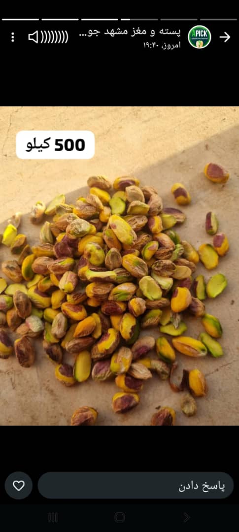 تصویر 2 از فروش مغز پسته عمده + خرید عمده از بهترین باغات ایران