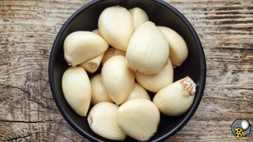 تصویر 5 از خرید و قیمت ترشی سیر مرواریدی + فروش عمده