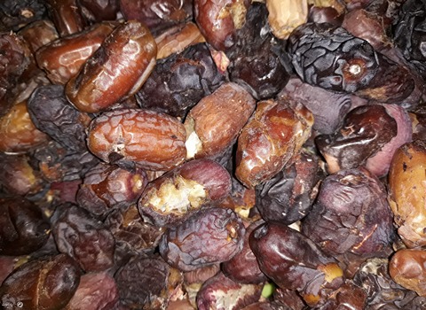 فروش خرما ضایعاتی عنبرآباد