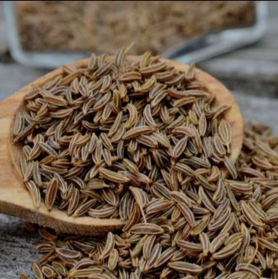 تصویر 4 از زیره وحشی درجه دارویی آسیاب ملایم + قیمت صادراتی عمده