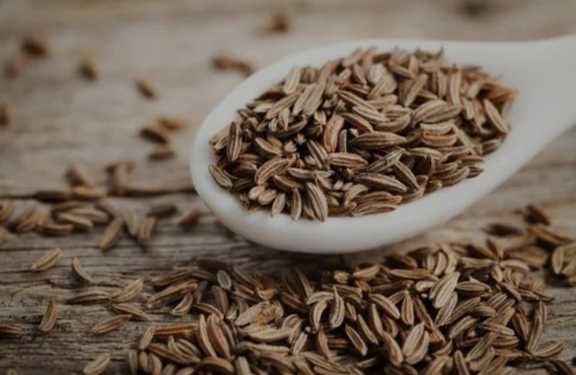 تصویر 1 از قیمت فروش پودر زیره سیاه اعلا مخصوص دمنوش گیاهی