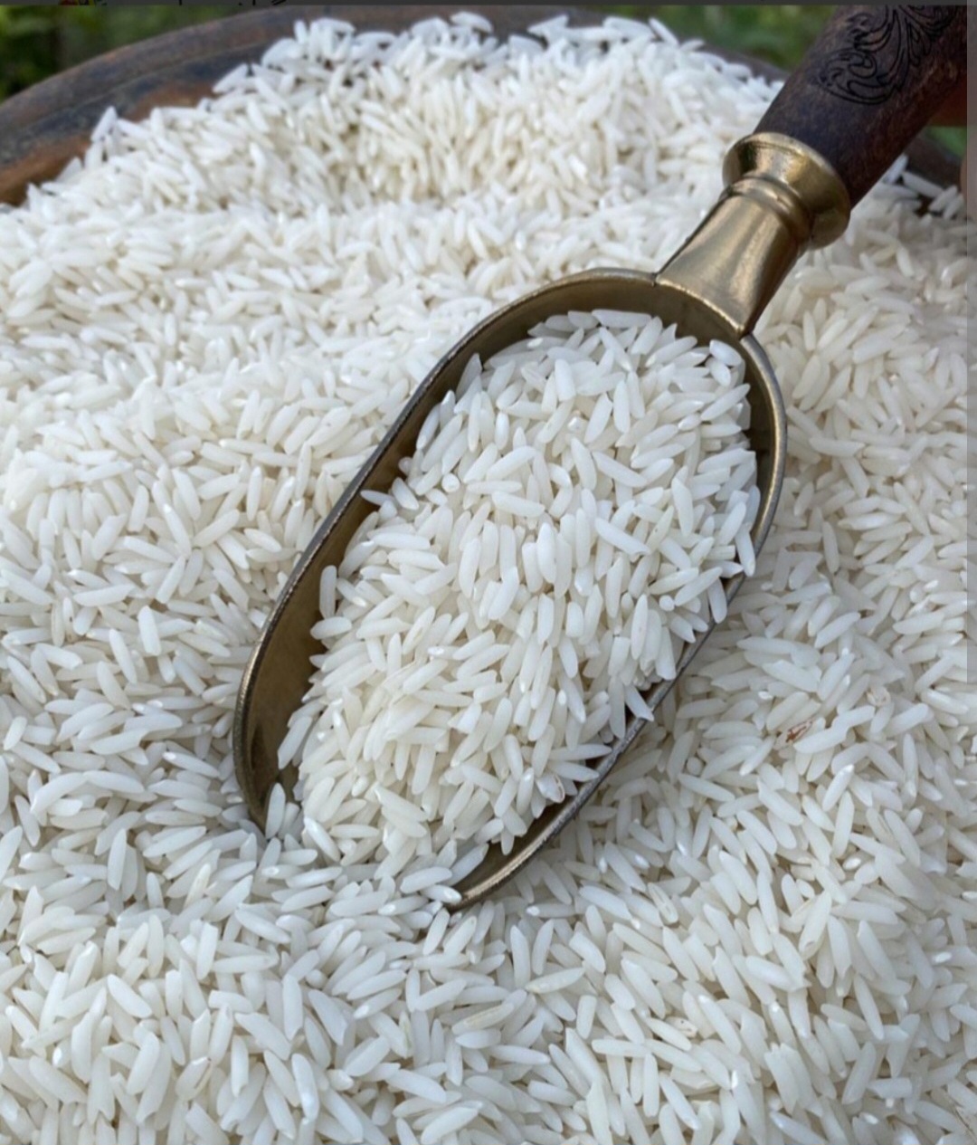 تصویر 1 از فروش برنج طارم هاشمی معطر و با کیفیت + قیمت مناسب