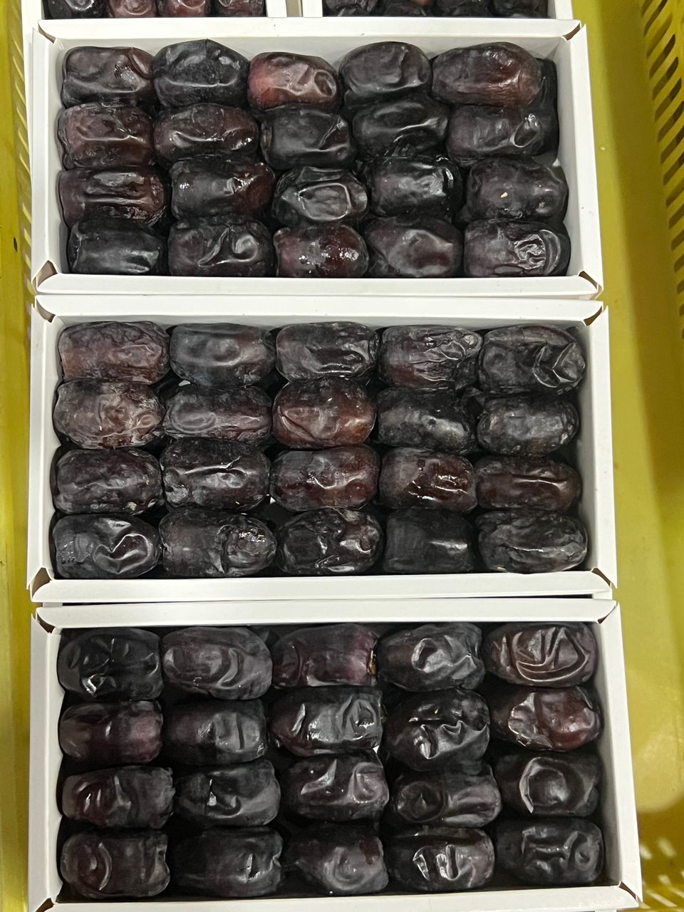 تصویر 2 از خرید خرمای مضافتی جیرفت + فروش بی‌ واسطه